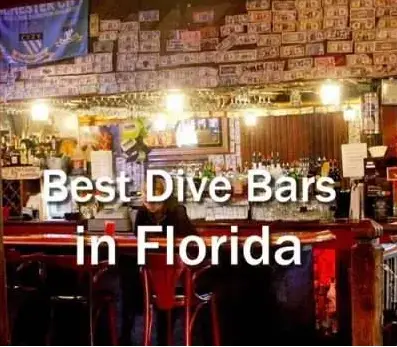 Best Dive Bars in Florida: Where to Find the Most Authentic Local Experience