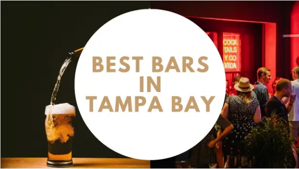 23 Best Rooftop Bars in Tampa: Enjoy the City’s Skyline with a Drink in Hand